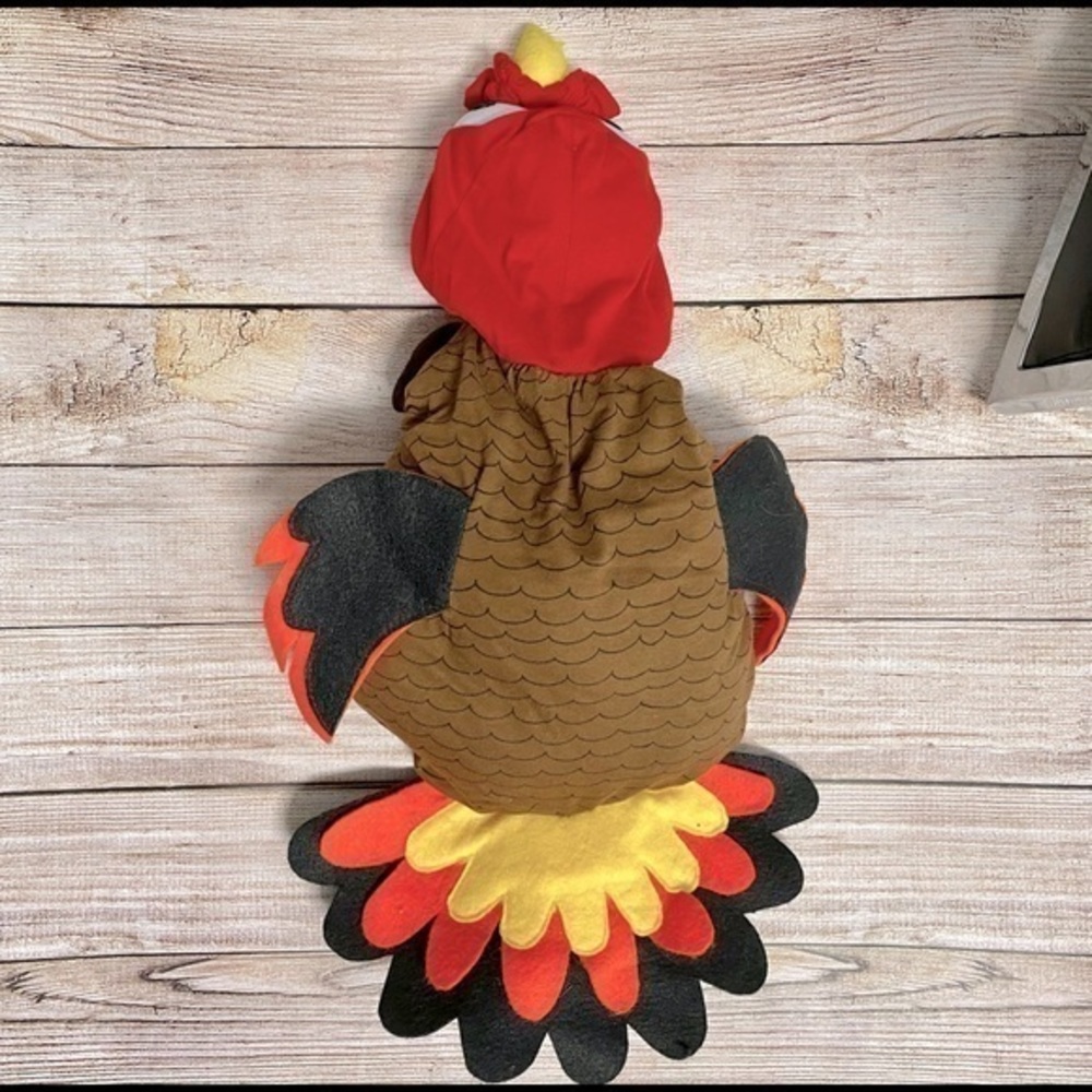 Plush Turkey Dog Coat Hoodie Costume S 2